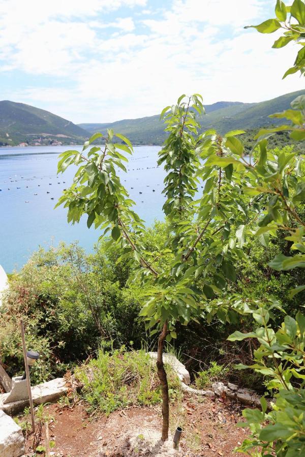 Apartments By The Sea Kabli, Peljesac - 10221 Brijesta エクステリア 写真